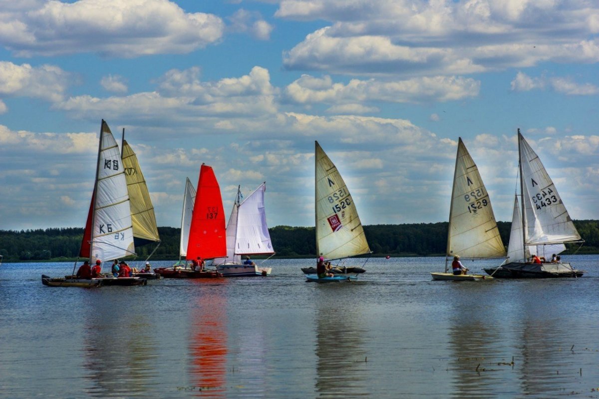 Регата Пироговское водохранилище