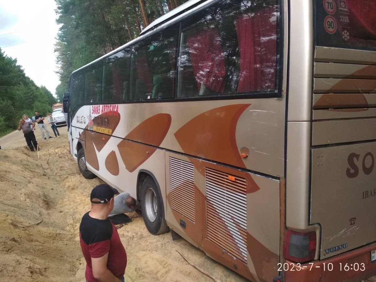 Современные автобусы