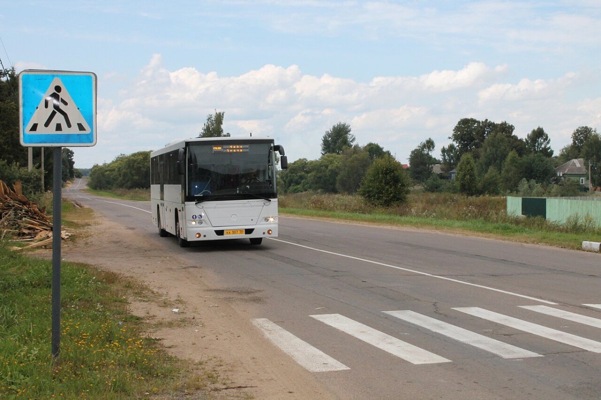 Деревня Вяземское Можайского района