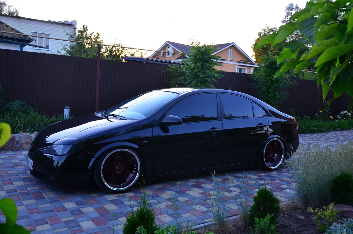 Nissan primera p12 стэнс
