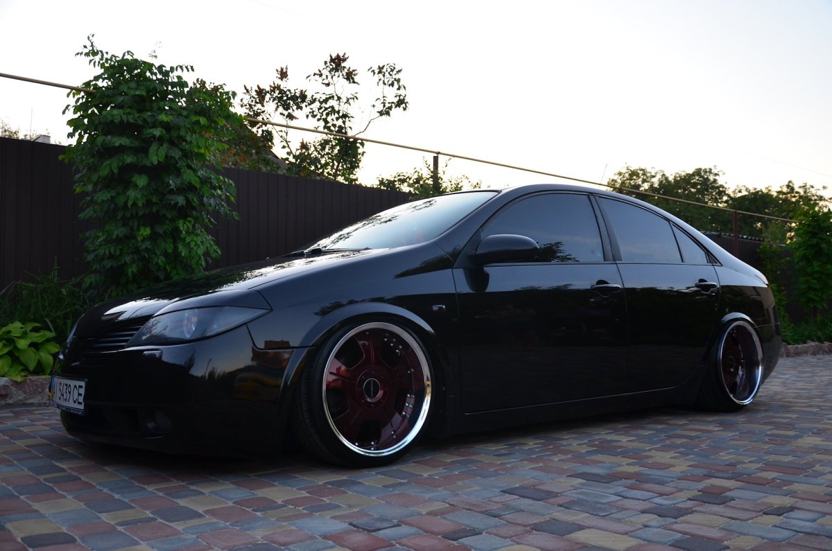 Nissan primera p12 универсал stance