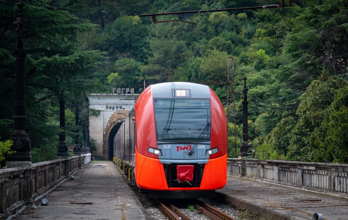 Ласточка Сочи Гагра