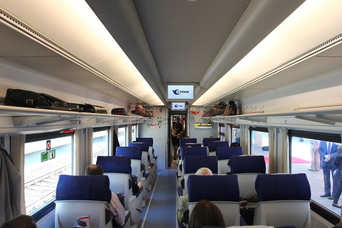 Стриж поезд