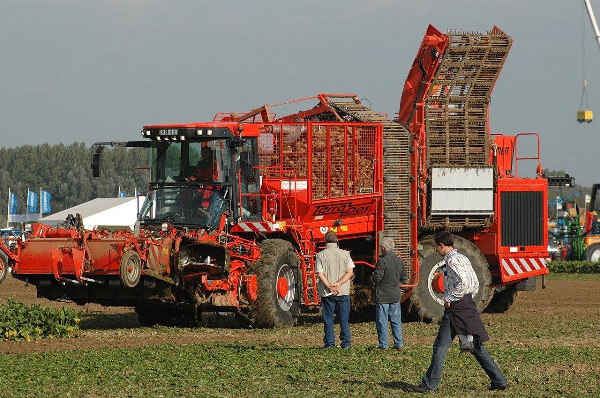 Холмер Терра дос