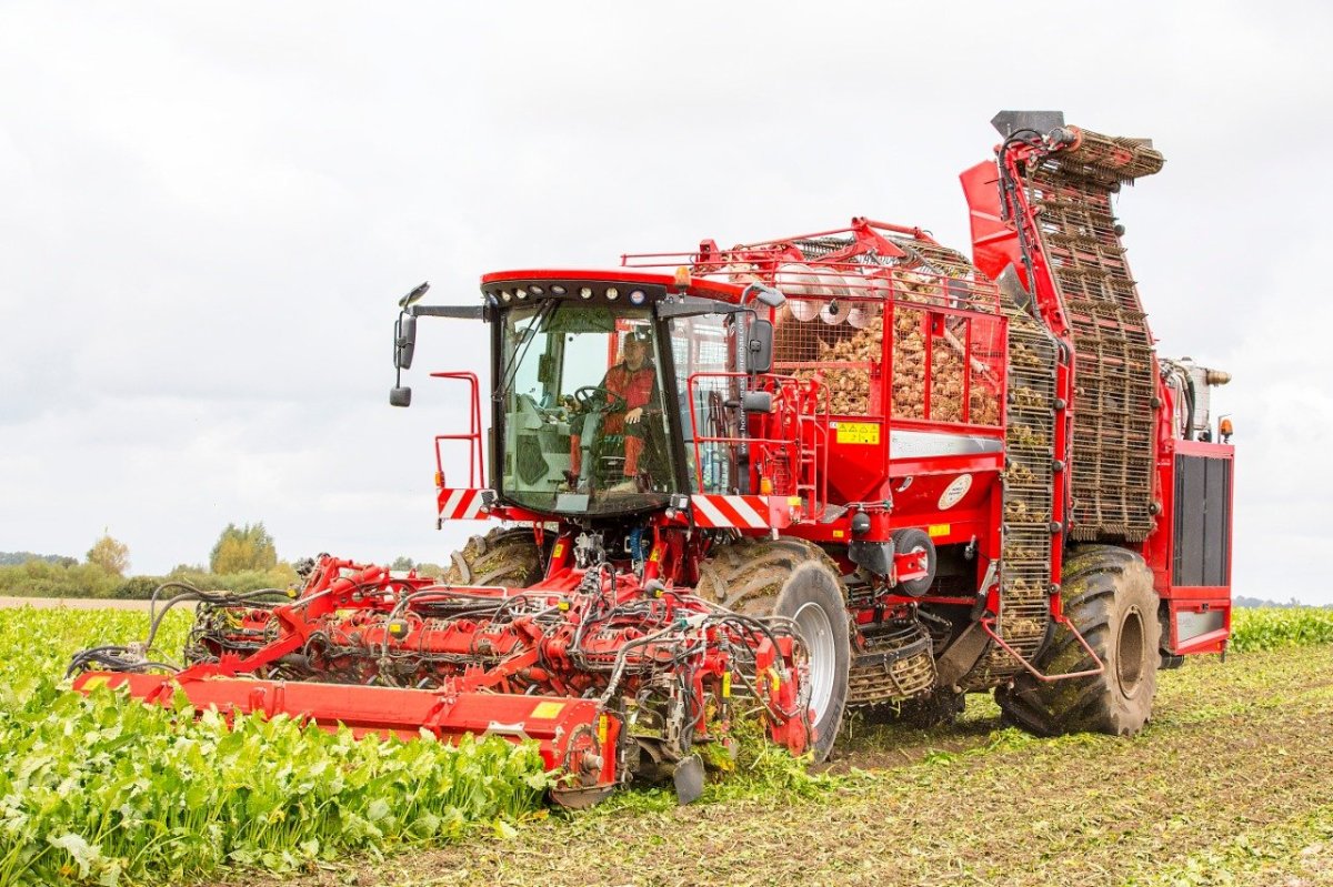 Холмер т4 свеклоуборочный комбайн