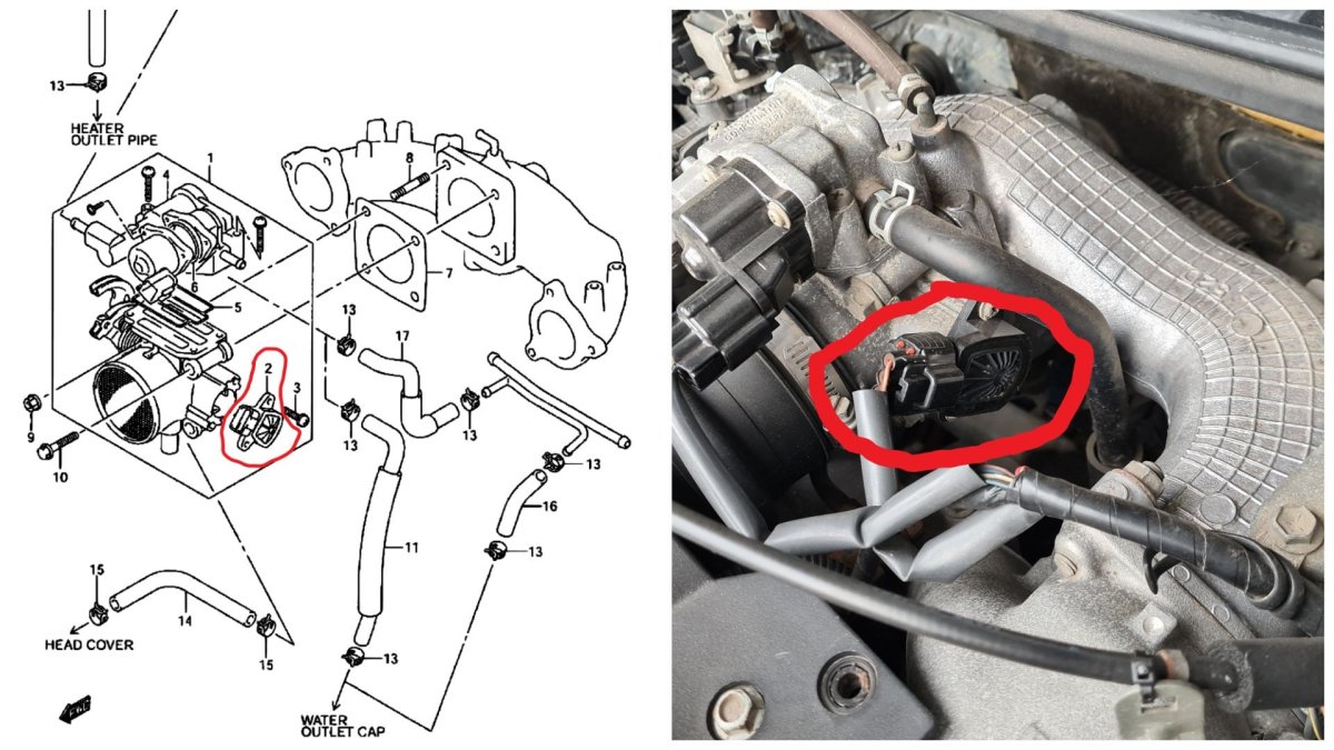 Датчик положения вторичной дроссельной заслонки. На Suzuki GSX-650f