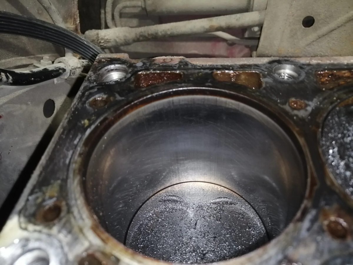 Масложор картинка