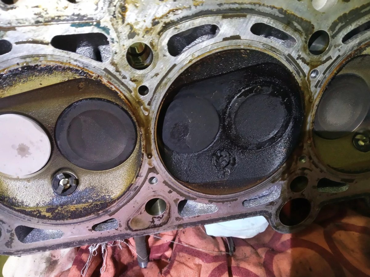 Шкода масложор