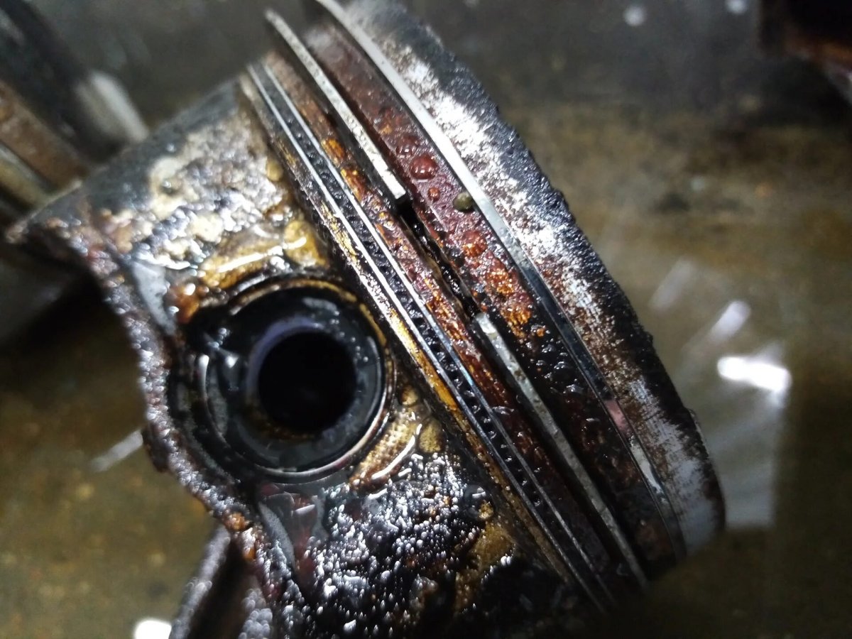 Как определить эндоскопом масложор