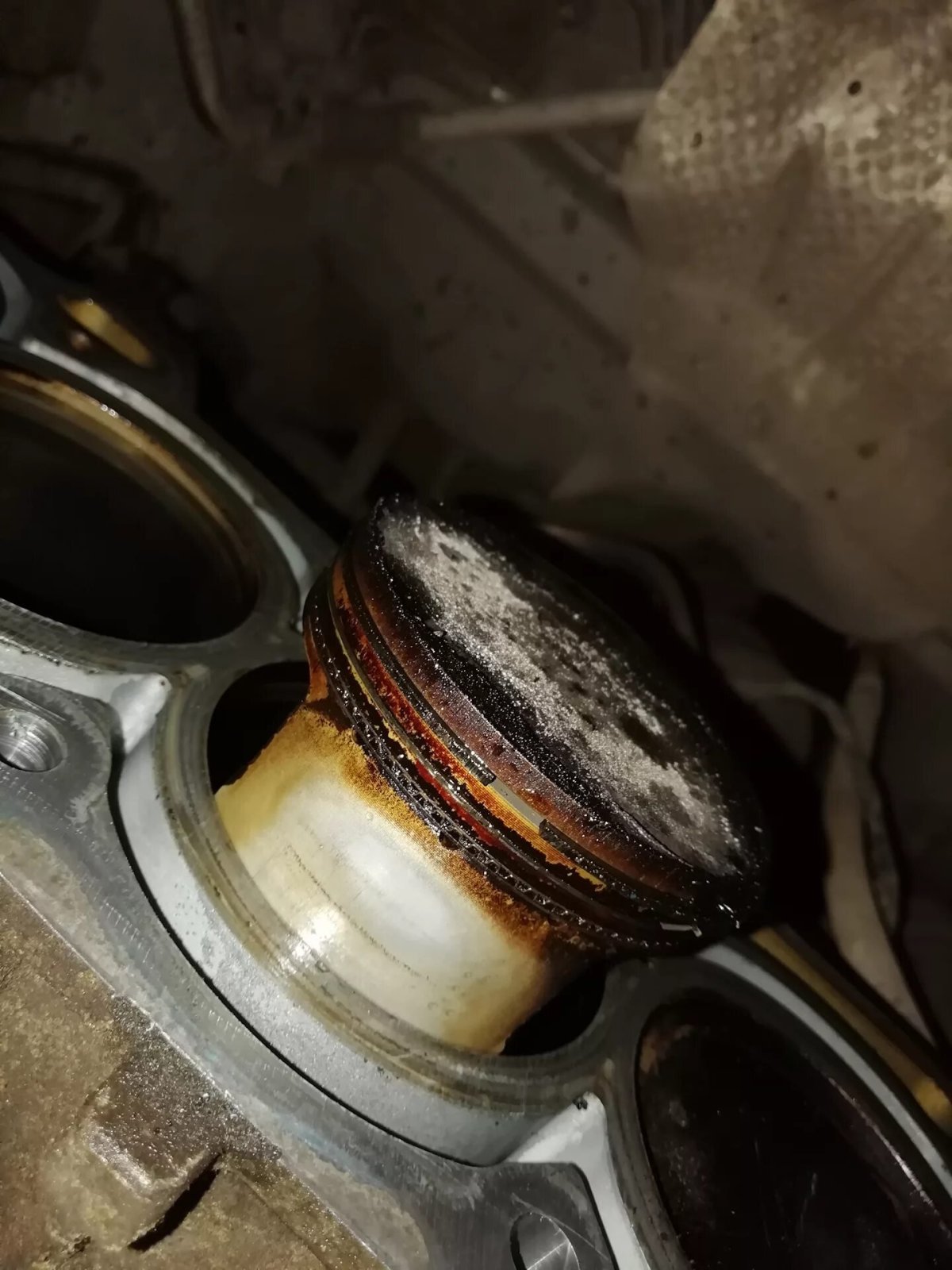 Масложор Солярис 1.4