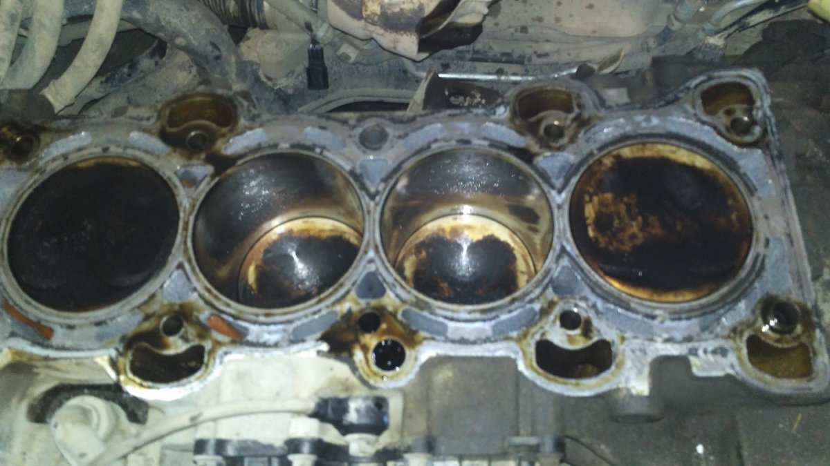 Масложор Приора 16 клапанов