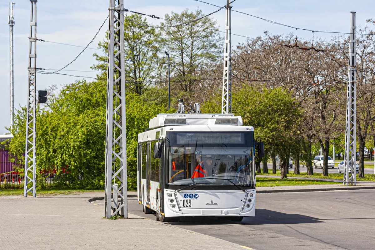 МАЗ-203т Бельцы