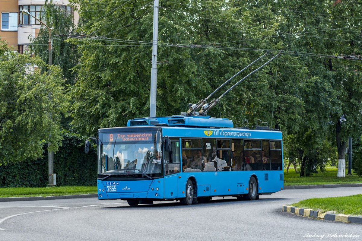 Троллейбус МАЗ 203т70