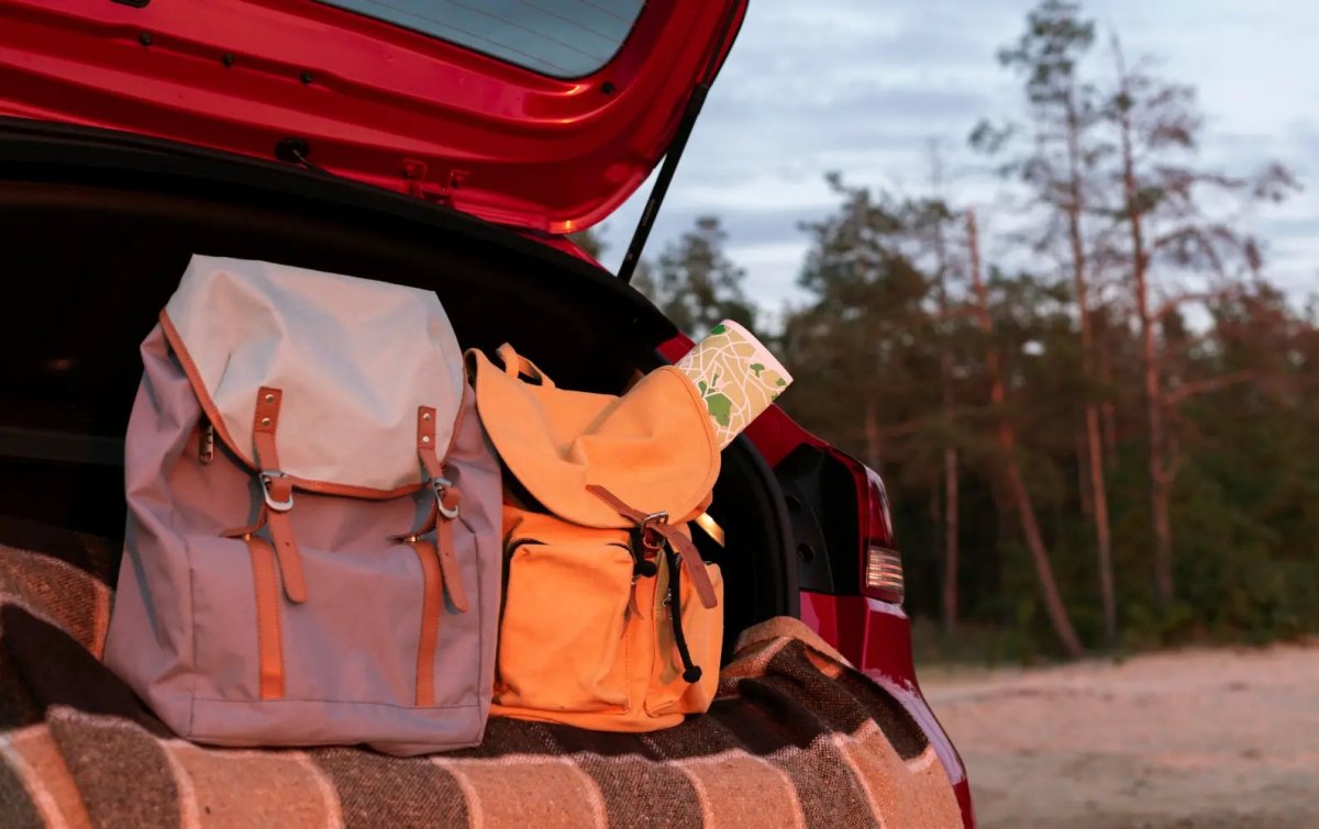 Рюкзак Trunk co Samsonite