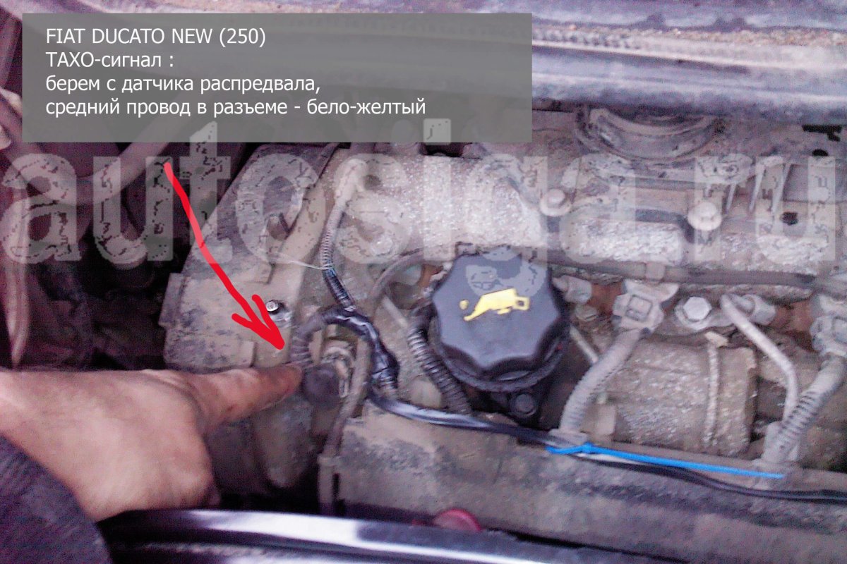Датчики ДВС Фиат Дукато 244