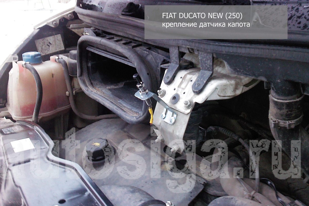 Fiat Ducato расположение сигнала