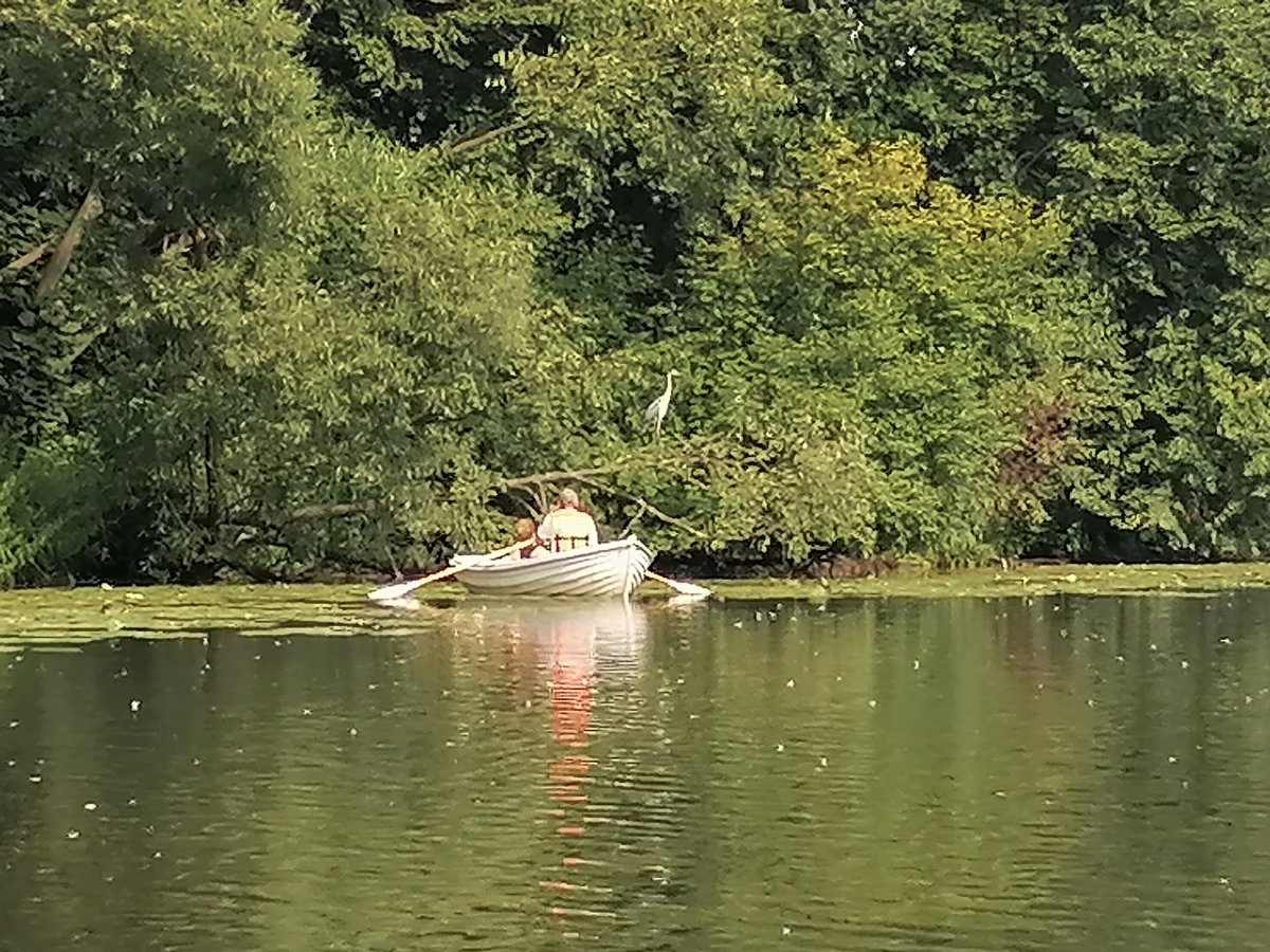 Нижний Царицынский пруд Лодочная станция