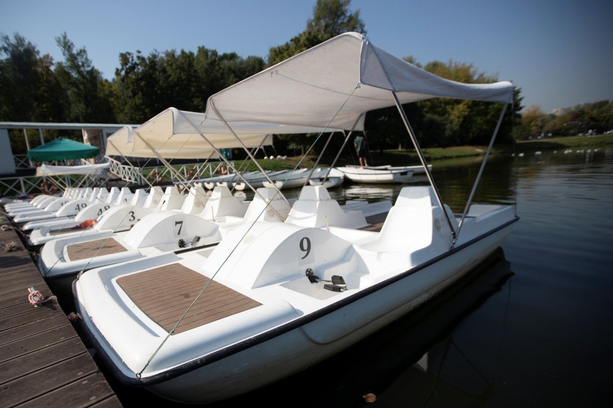 Царицыно катамараны