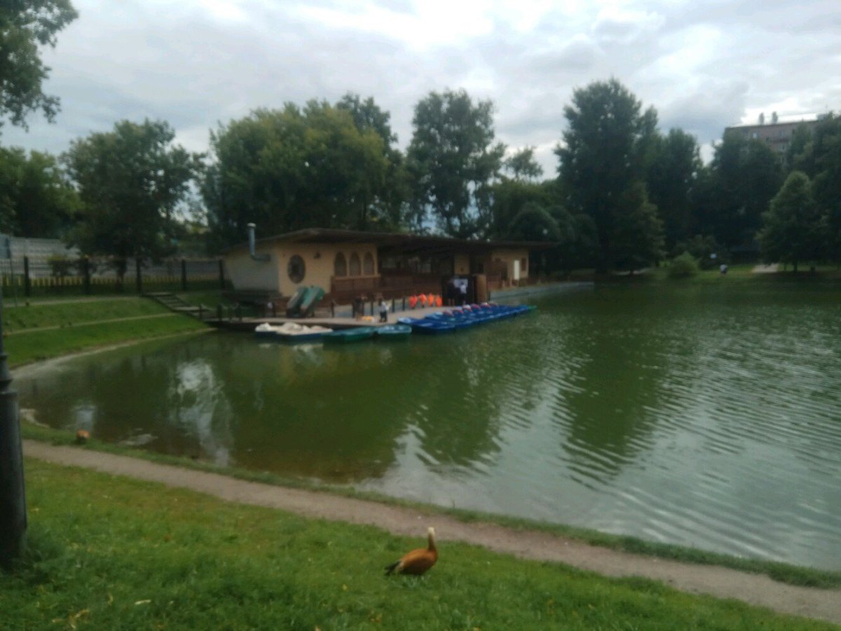 Лодочная станция Екатерининский парк Москва