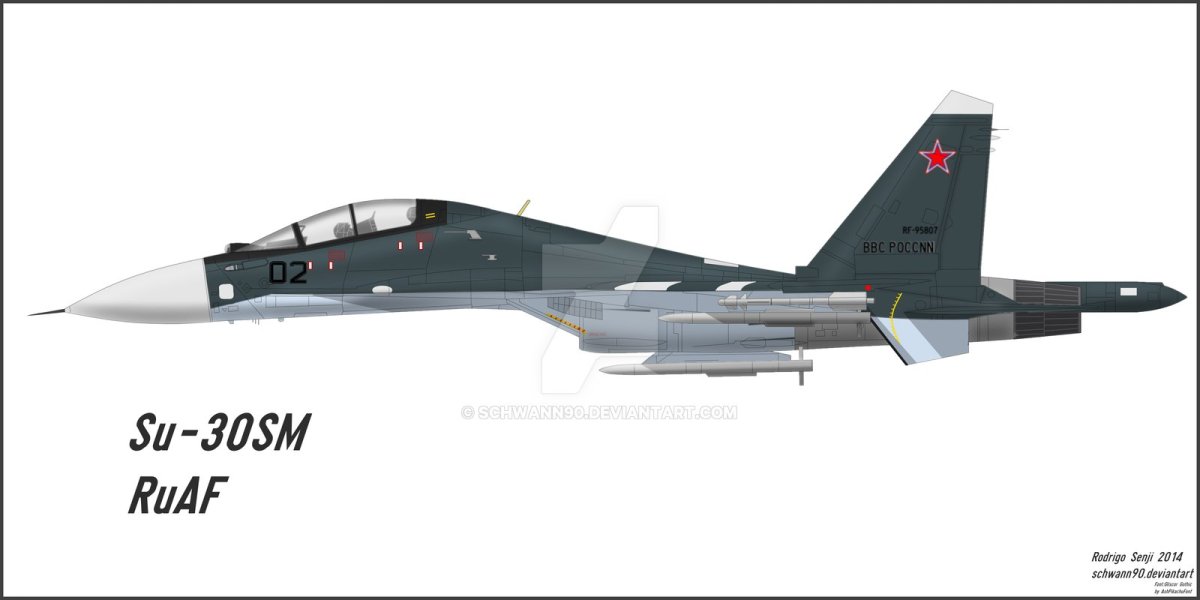 Су 30 см вид сбоку