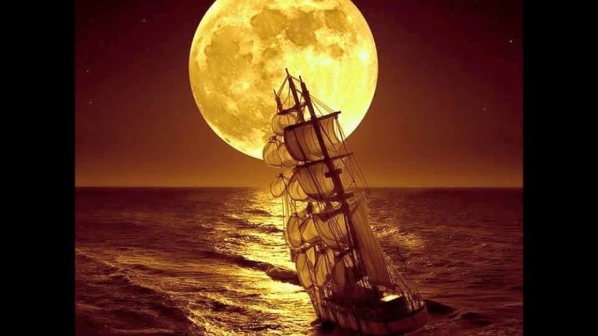 Лунная ночь