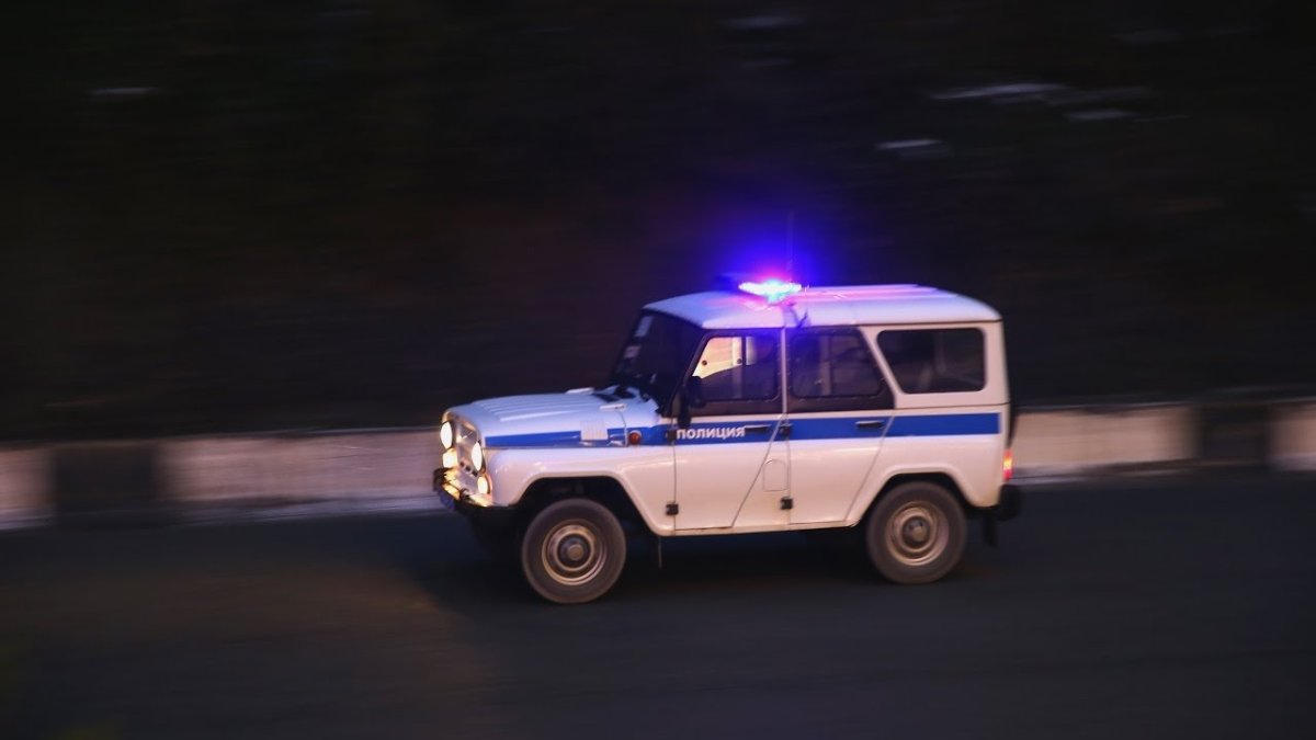 Бобик машина полиции