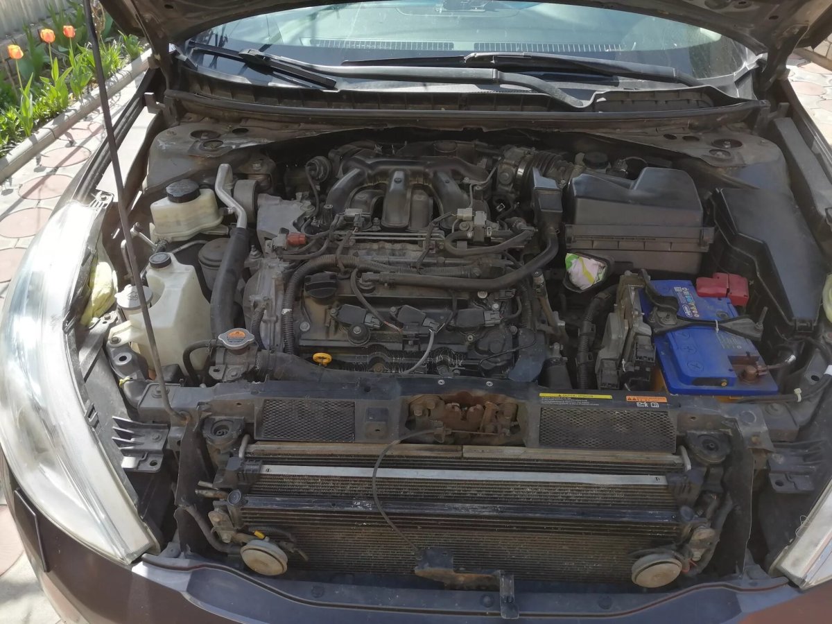 Подкапотное пространство Теана j32