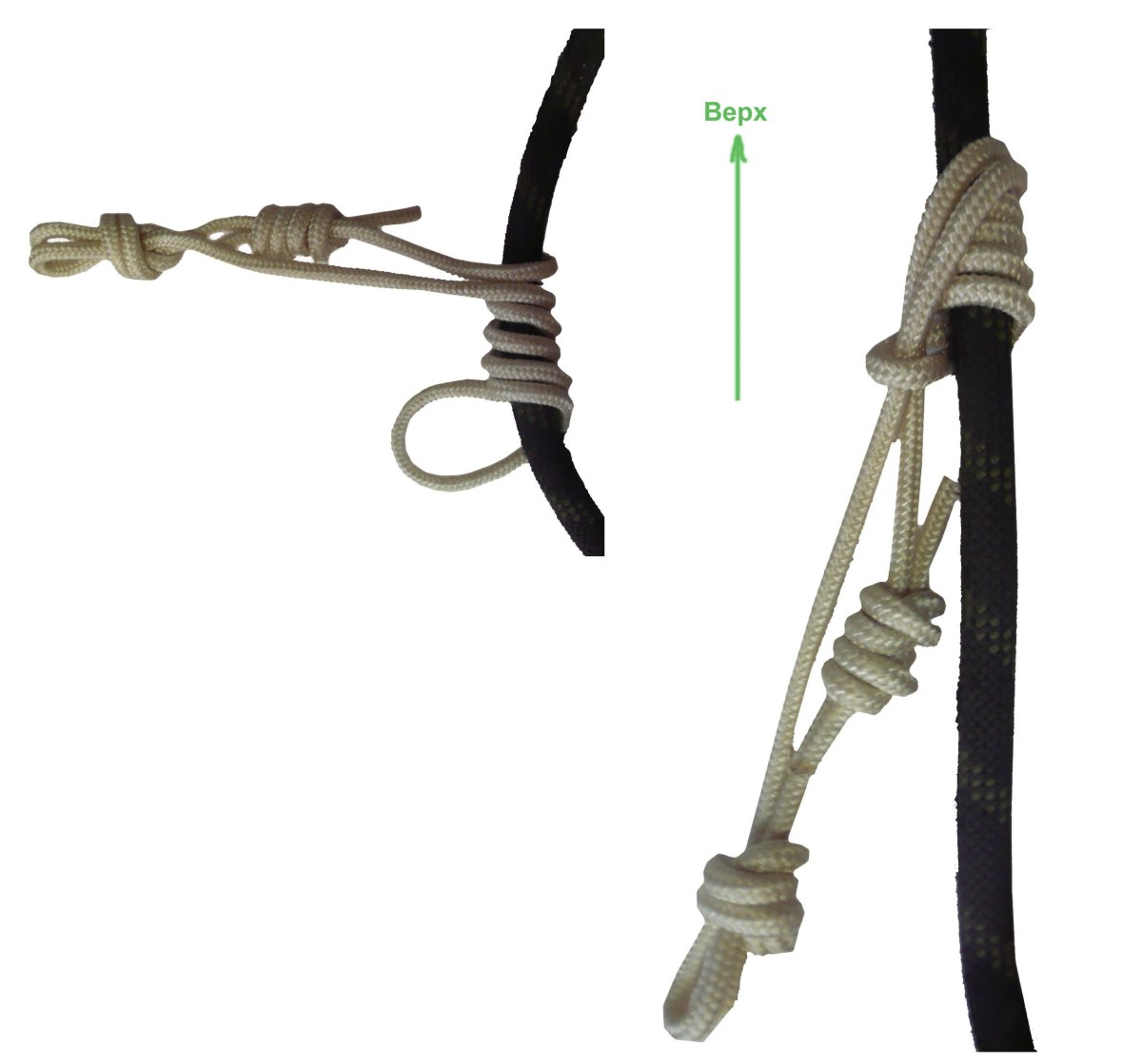 Схватывающие узлы в альпинизме