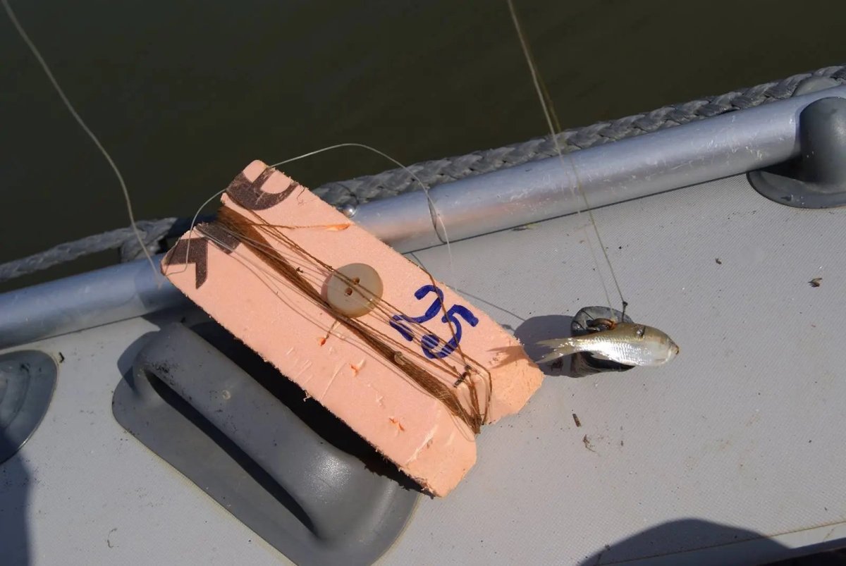 Жерлицы поставушки на щуку