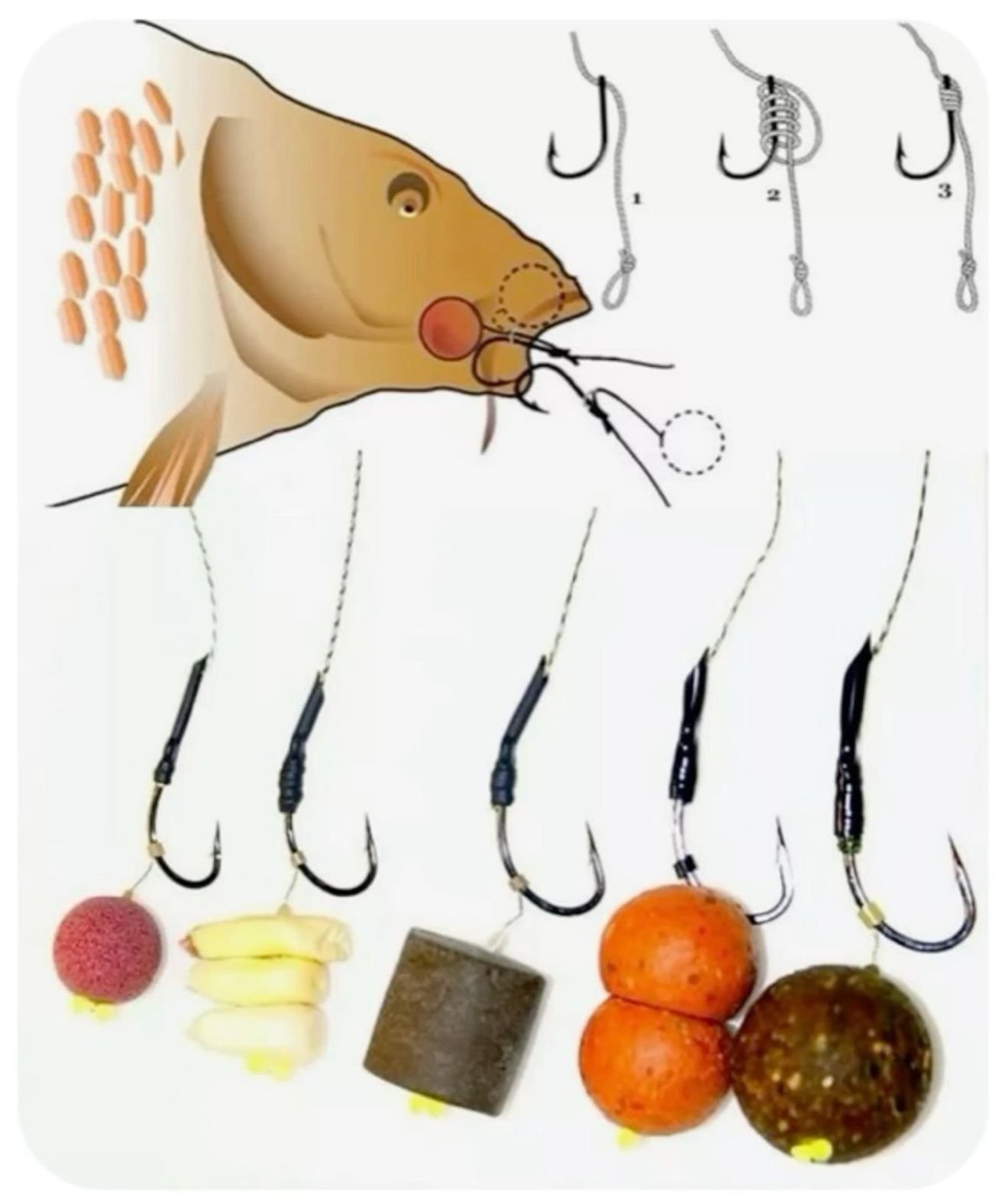 Снасть на карпа бойлы