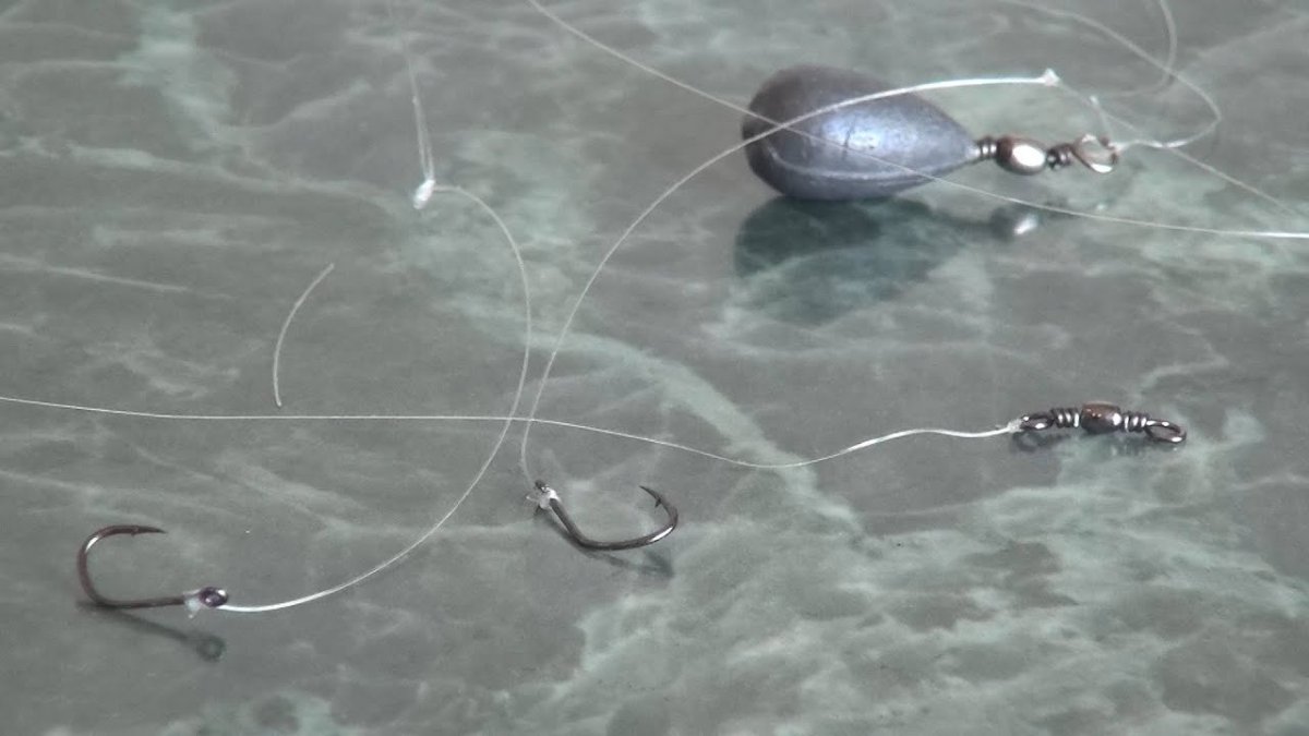 Донная закидушка на стерлядь