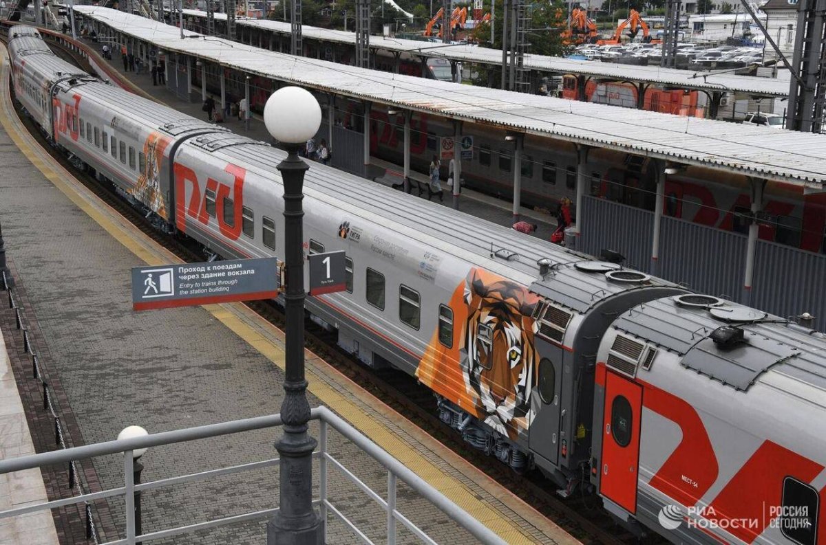 Тигриный поезд РЖД