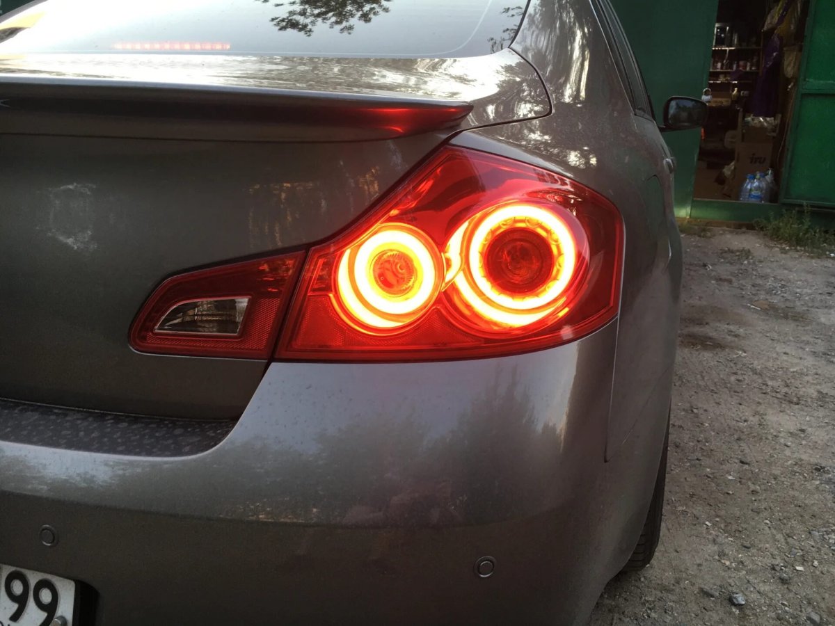 Задняя оптика глаз орла