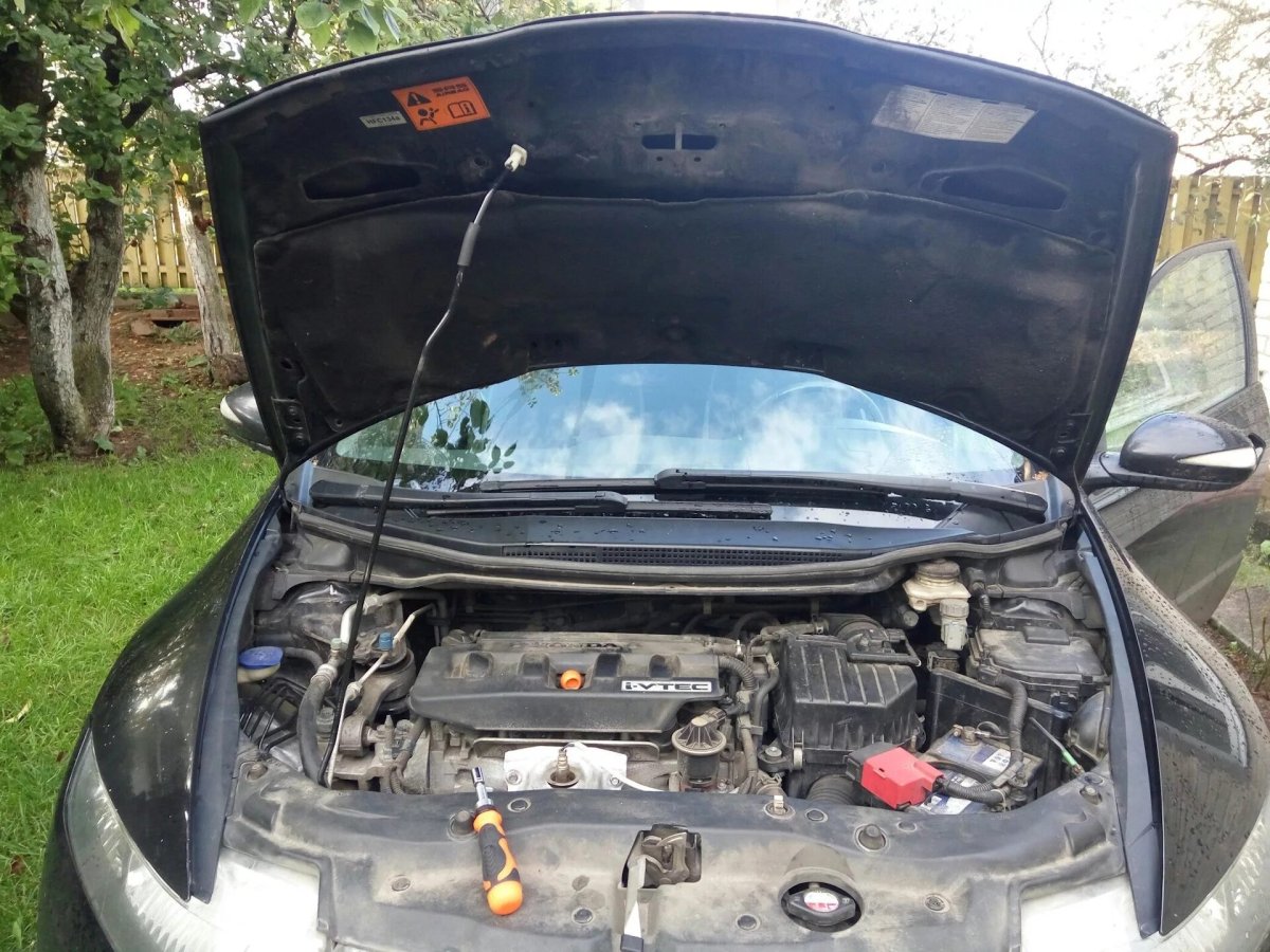 Газовые упоры капота Honda Civic 8 5 d