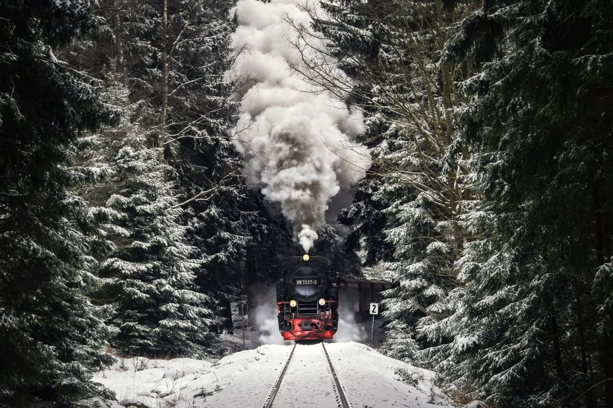 Гарц Германия поезд