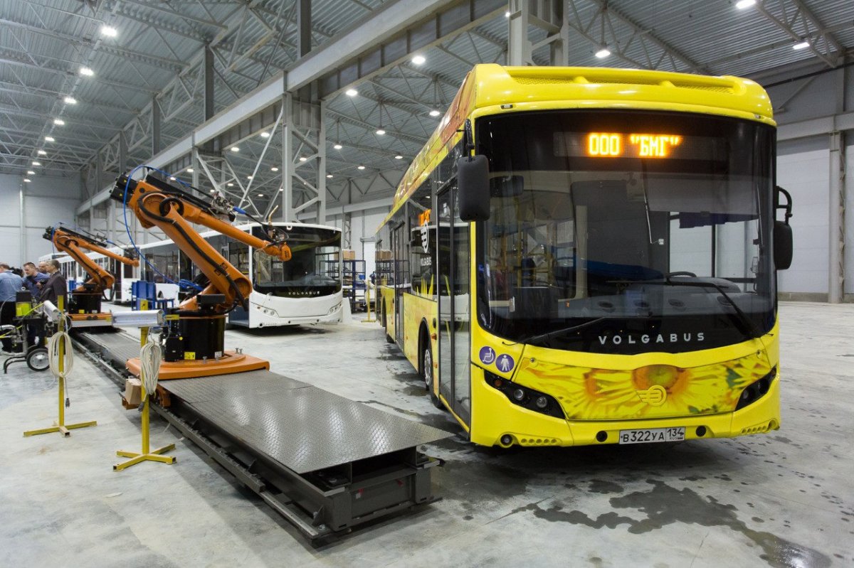 Волгабус Владимир