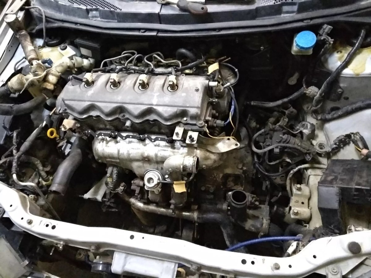 Nissan primera p12 двигатель 1.6