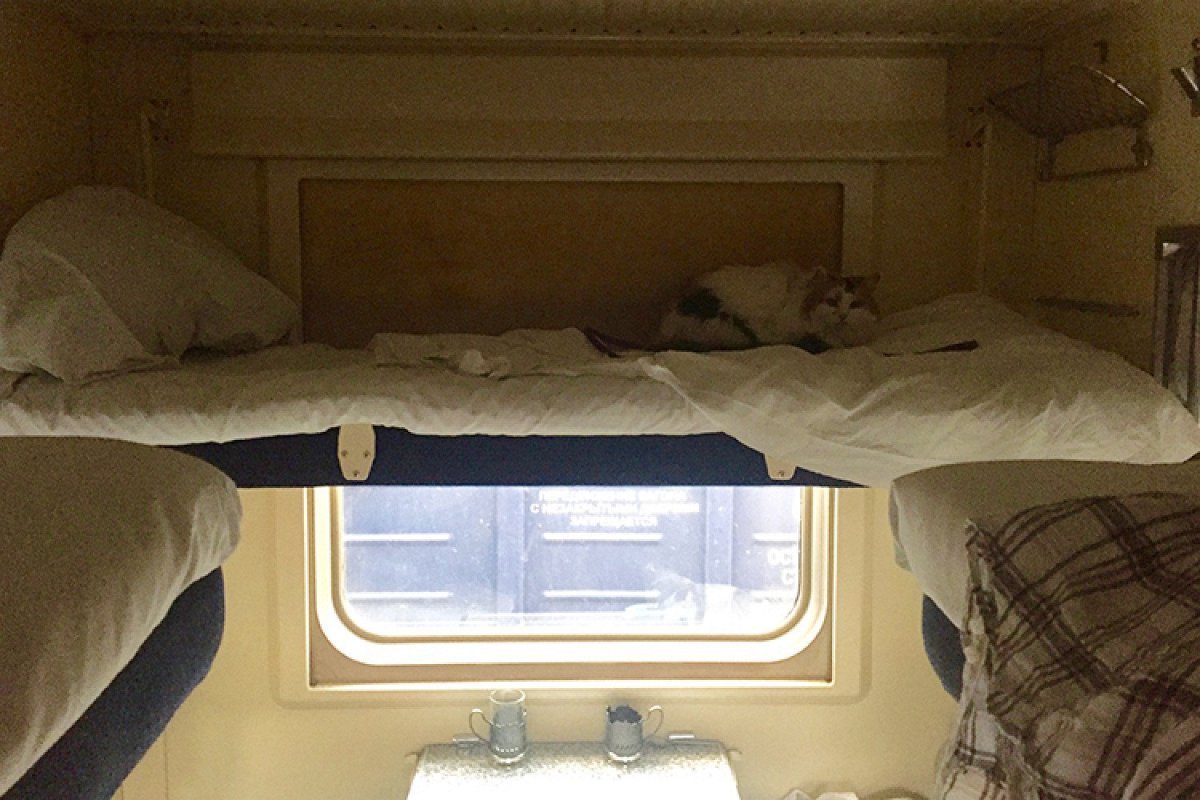 Демидовский экспресс плацкарт