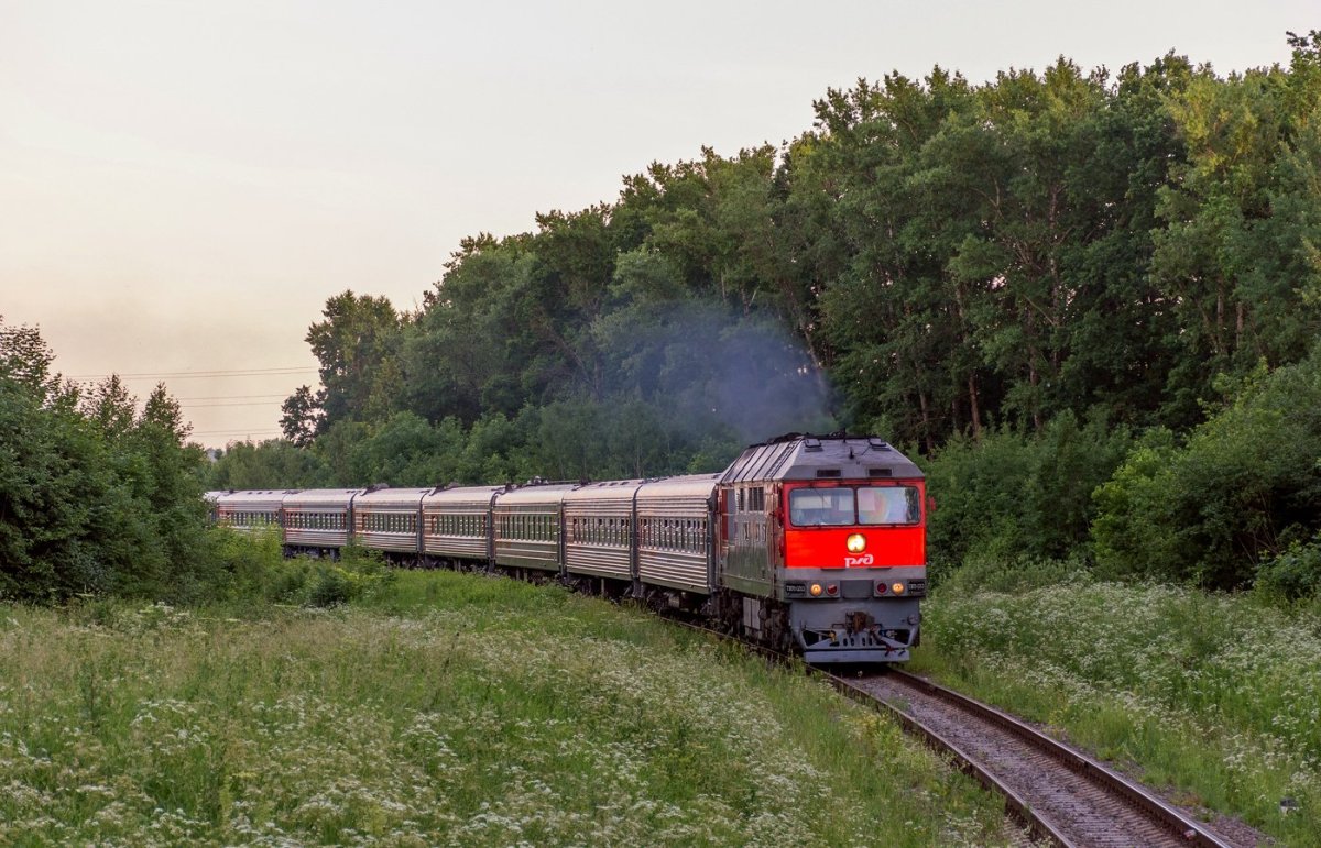 Поезд Смоленск-Санкт-Петербург
