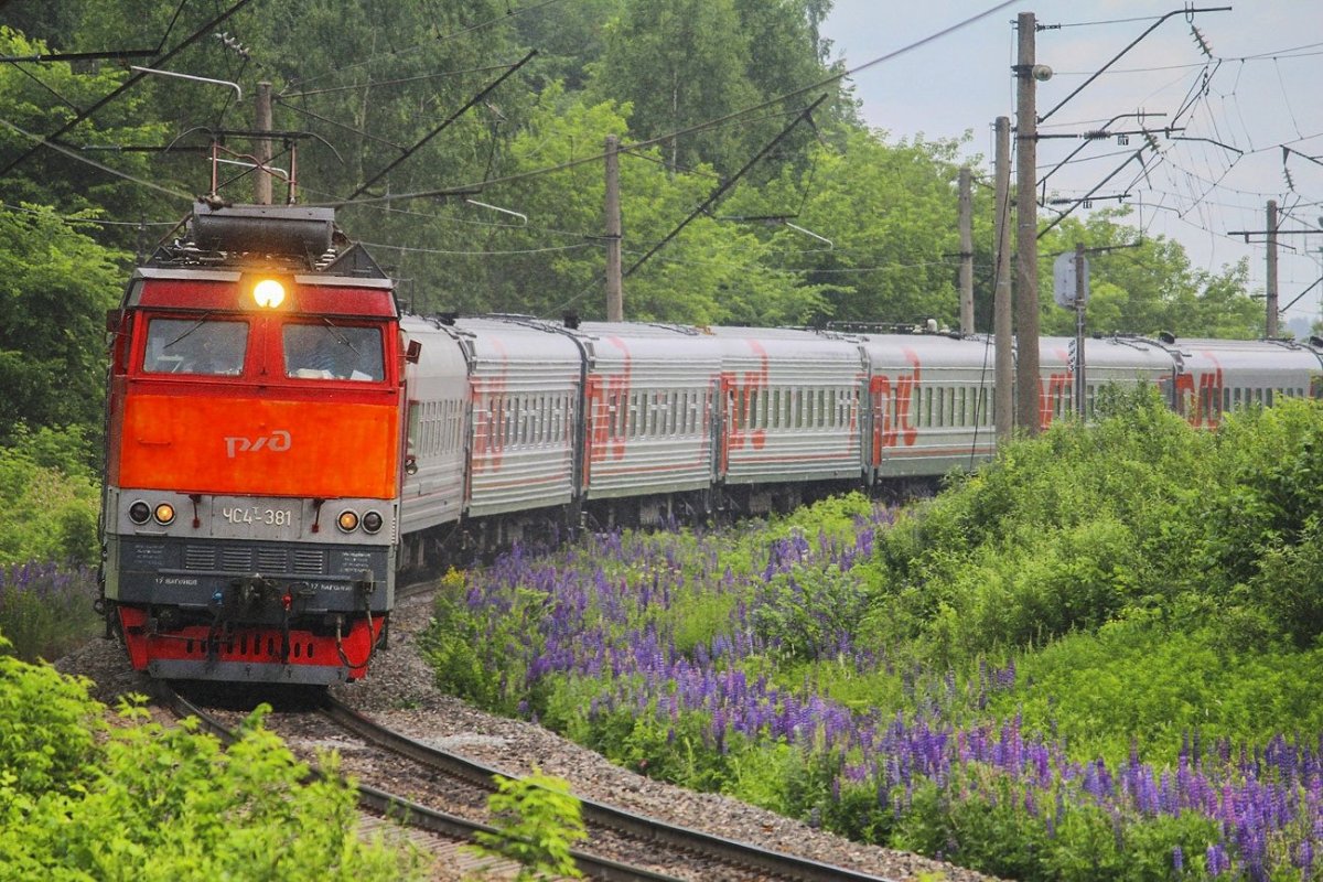 Фирменный поезд Ладога