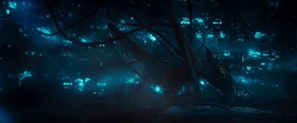 День независимости 2 пчеломатка