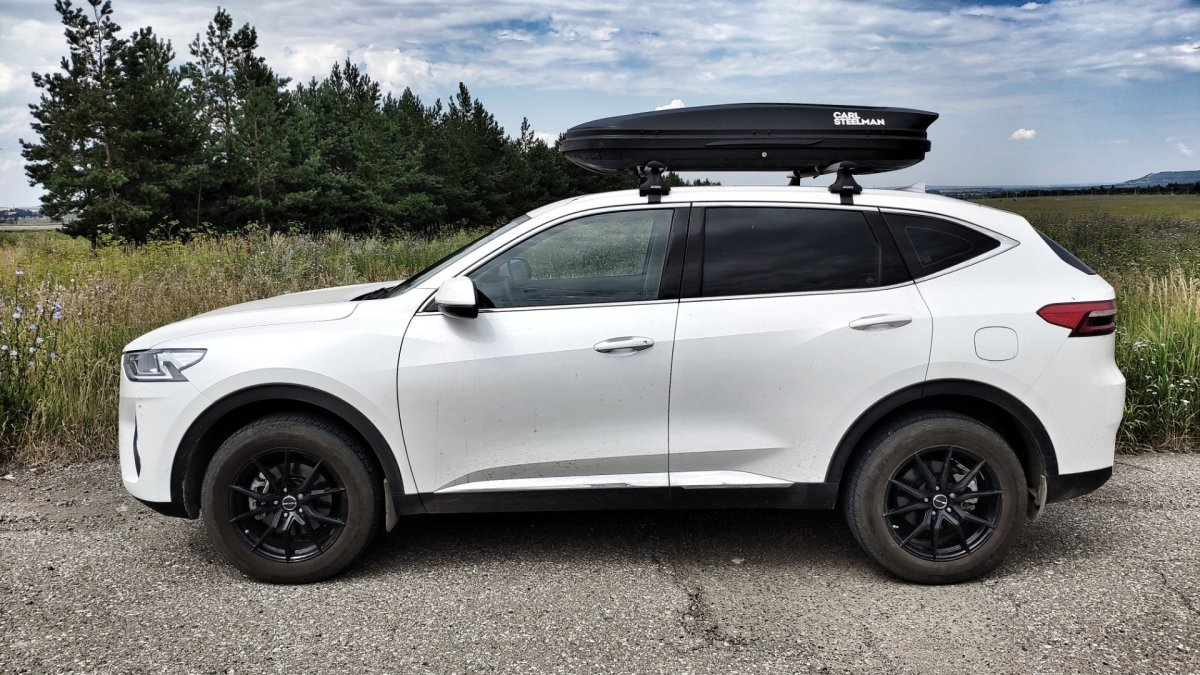 Carl Steelman Sport 330