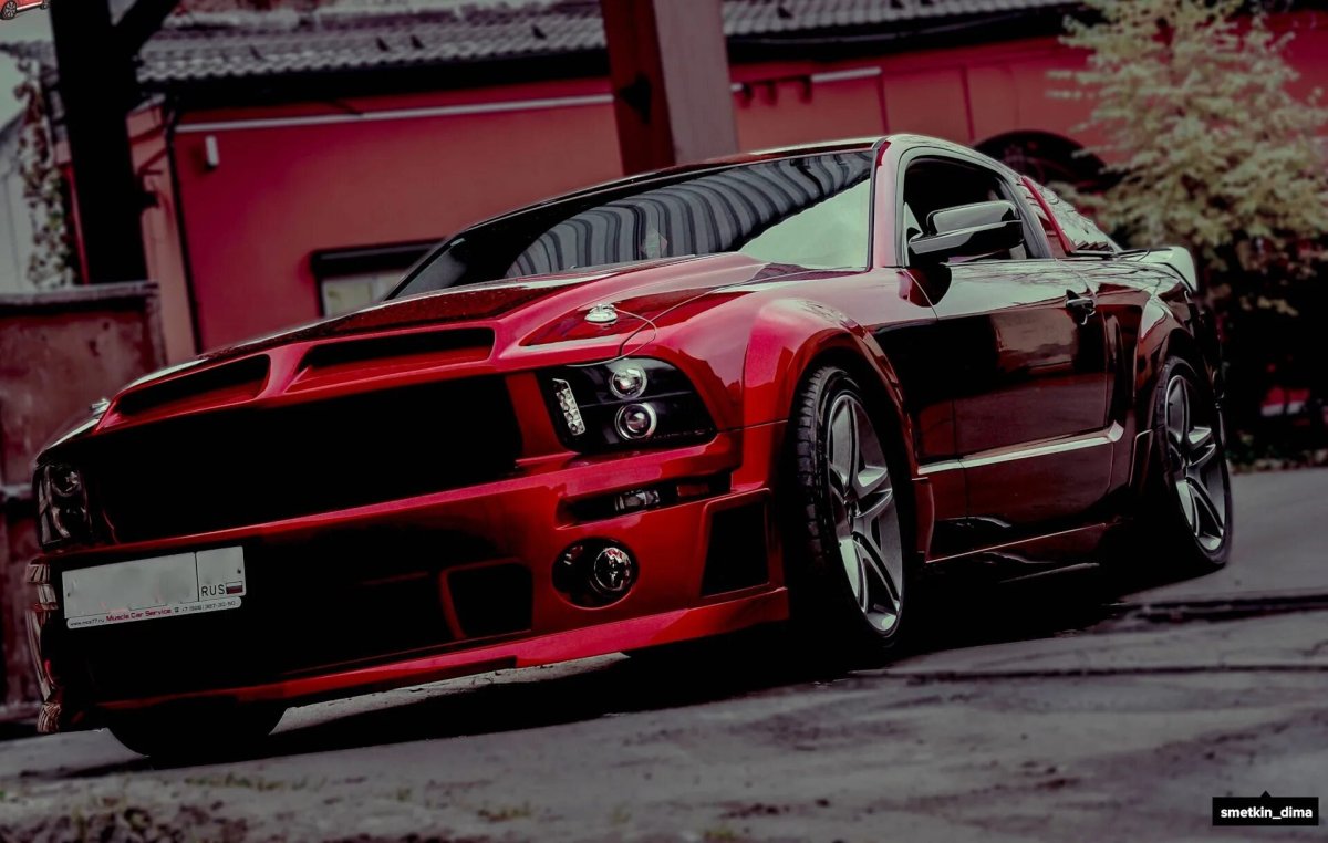 Ford Mustang Shelby 2005