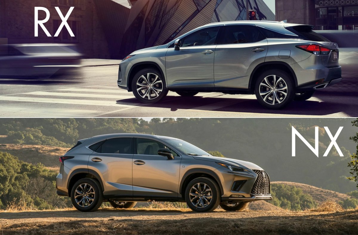 NX vs RX Lexus