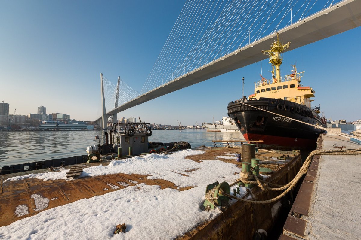 Владивостокский мост