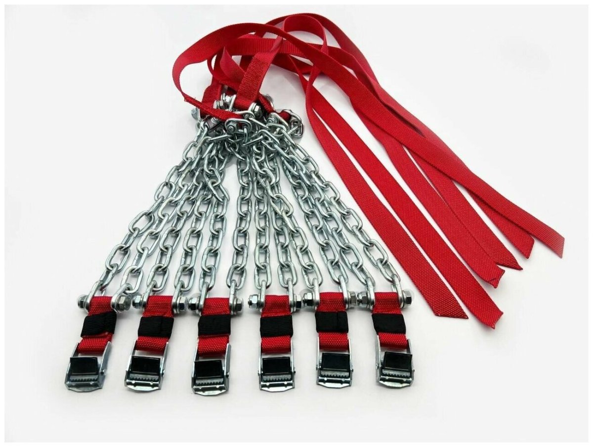 Три собаки на поводке