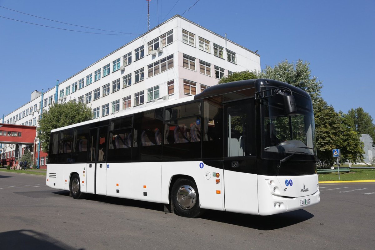 МАЗ 231185