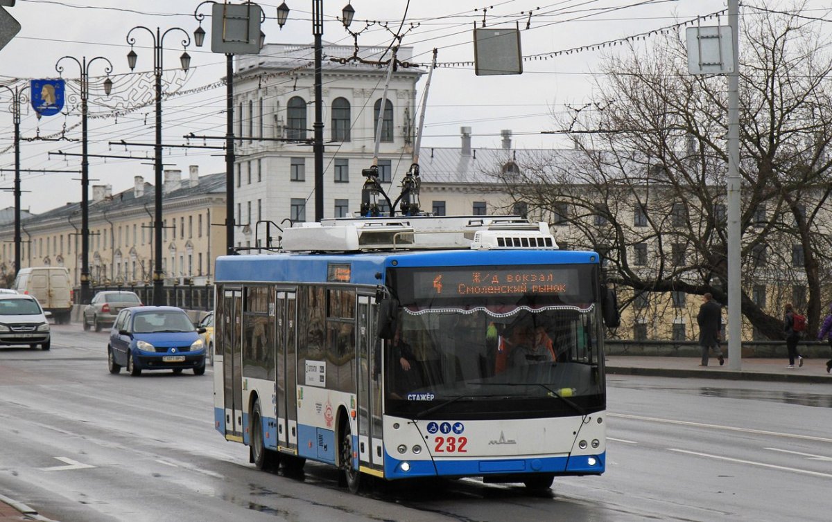 Вильнюс, МАЗ-Этон т203 «Amber»