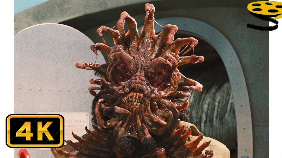 Борис животное боглодит