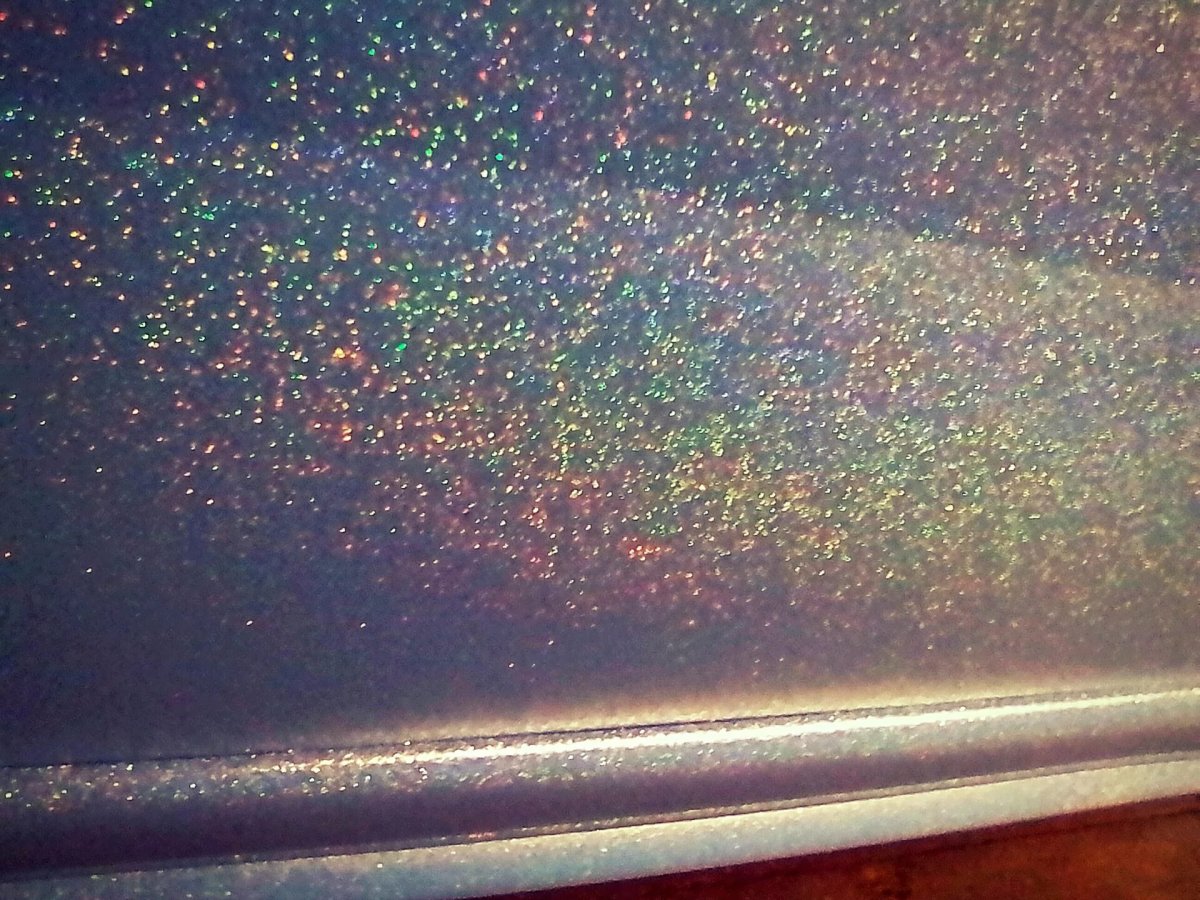 Раптор с блестками